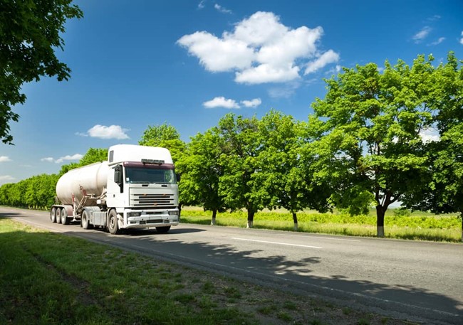 Shutterstock 156644525